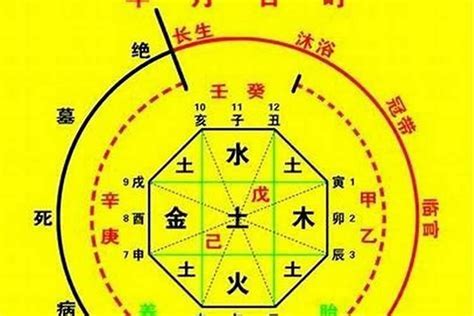 喜火木運忌水金運|化火格八字命例